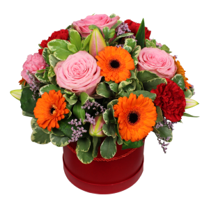 Flowerbox Kolorowy